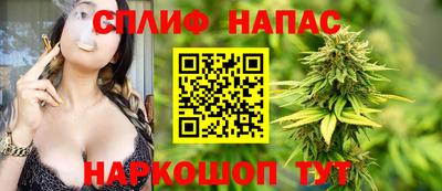 МДПВ Ливны