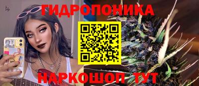 a pvp Лесосибирск