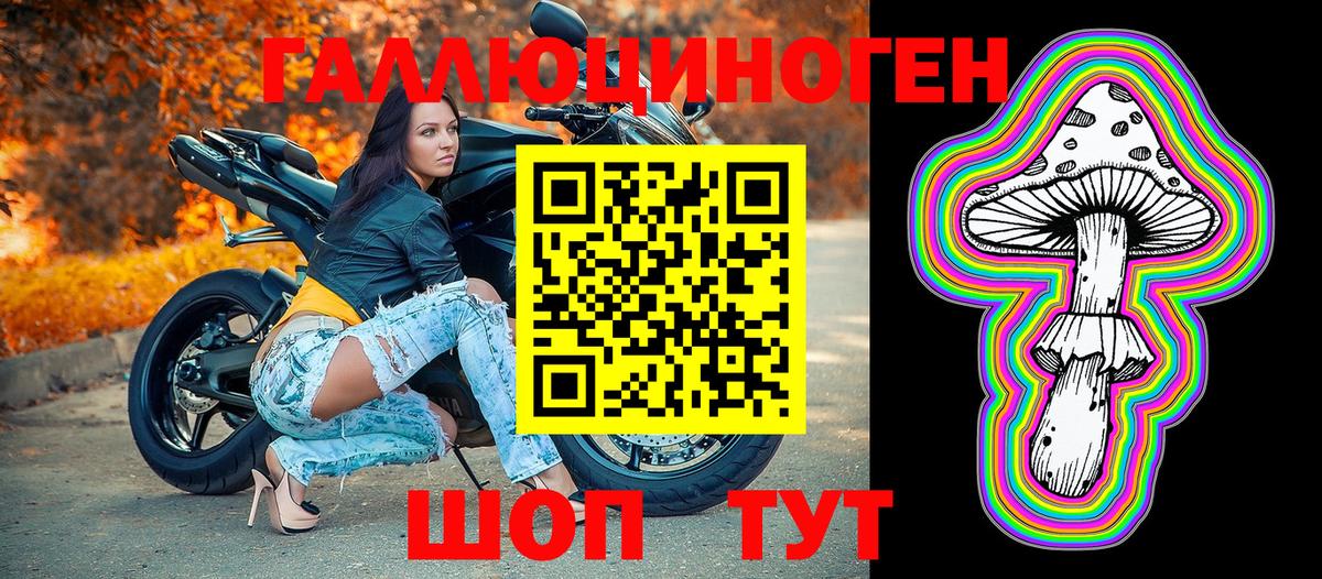 Псилоцибиновые грибы Psilocybe Ухта